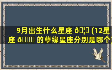 9月出生什么星座 🦆 (12星座 🐞 的孽缘星座分别是哪个)